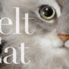 羊毛フェルト猫作品をはるいろとどうぶつ展に展示します！2018年3月21日〜25日まで