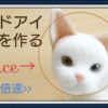 【羊毛フェルト】オッドアイ 猫 顔 作り方 How To Make Needlefelting Odd-eyes Cat Doll