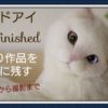 【羊毛フェルト】オッドアイ 猫 完成から撮影まで How To Make Needlefelting Odd-eyes Cat Doll Finished