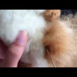 羊毛フェルトで作るキツネの胴体の作り方